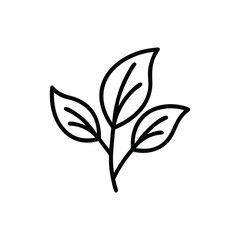 Simple Elegant Leaves Stem Line Art Botanical Illustration Minimalist Design