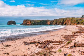 Beautiful beach in Andrew Molera State Park, California, featuring golden sands, rugged cliffs, and...