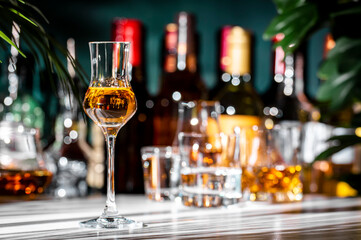 Italian grape vodka grappa in glass and bottles of strong drinks on dark green background