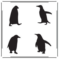 Penguins silhouette, Penguins illustration , Penguins clipart, Penguins vector , Penguins icon , black Penguins, Penguins illustration on white background, Penguins vector illustration ,