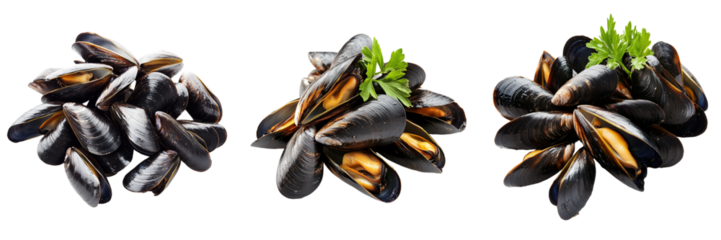 Set of Close-up of a mountain of fresh black mussels stacked neatly, showcasing their shiny black shells on transparent png background. Ai generated