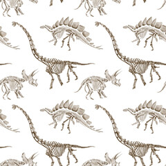 Seamless pattern with dinosaur skeletons. Traceratops and diplodocus. Prehistoric reptiles and animals. Bones and fossils of the Jurassic era. Watercolor illustration without background. Hand drawing © Alena Sid