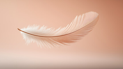 Feather soft light background texture delicate bird plume airy design