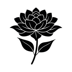 black and white flower