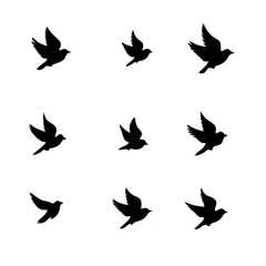 set of vector silhouettes of birds