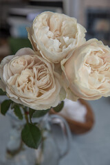 Bouquet of beige peony roses in the interior
