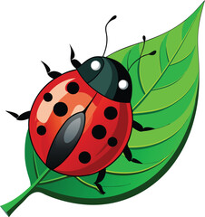 Ladybug on leaf