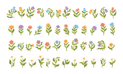 Big floral collection with trendy modern gentle soft flowers, plants, tulips, daisies, lilies, peonies. Hand drawn botanical vector illustration set.