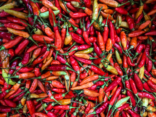 Red, orange and green hot chilli peppers pattern texture background. Close up. Landscape. Backdrop, background. Street vegetable market. Group. Top view, high angle, above. Agricultural. Harvest.