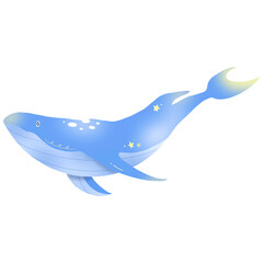 under the sea