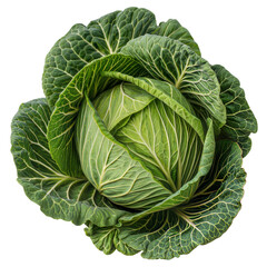 Fototapeta premium Healthy Green Cabbage with Veiny Texture