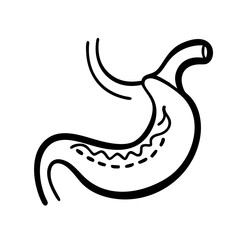 hand-drawn sketch human stomach illustration
