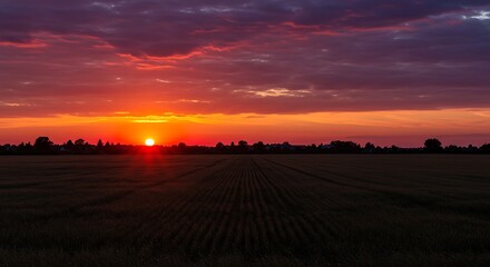 Fototapeta premium Sunset's Fiery Embrace: Serene Field and Dramatic Sky