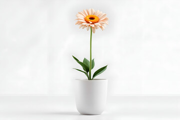 Elegant Peach Gerbera in Minimalist Pot