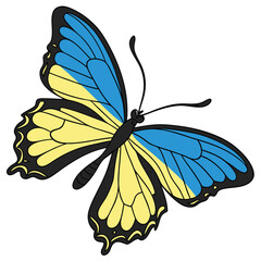monarch butterflies set vector
