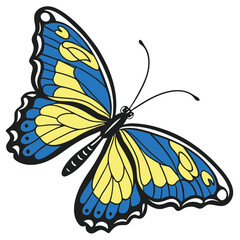 monarch butterflies set vector