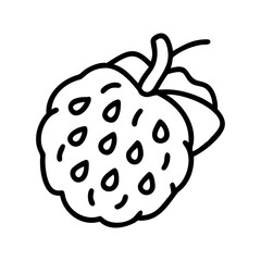 cherimoya fruit line drawn vector art - illustration cherimoya fruit isolated transparent background