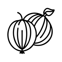 gooseberry line drawn vector art - illustration gooseberry isolated transparent background