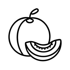 honeydew melon line drawn vector art - illustration honeydew melon isolated transparent background
