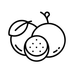 longan line drawn vector art - illustration longan isolated transparent background