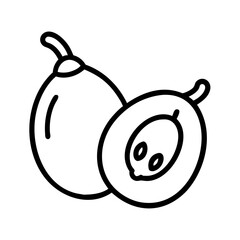 loquat fruit line drawn vector art - illustration loquat fruit isolated transparent background