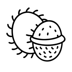 rambutan line drawn vector art - illustration rambutan isolated transparent background