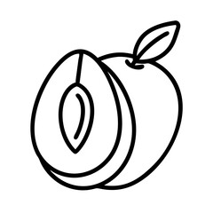 sapodilla fruit line drawn vector art - illustration sapodilla fruit isolated transparent background