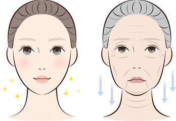老化が進んだ顔と若々しい顔の比較｜加齢による肌変化イラスト