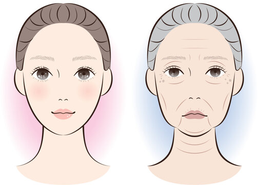 老化が進んだ顔と若々しい顔の比較｜加齢による肌変化イラスト