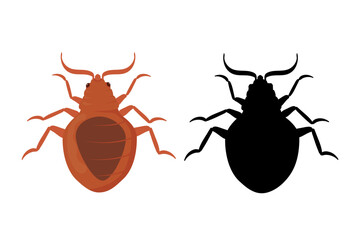 Bed Bug and its Silhouette Showing its Anatomical Features
