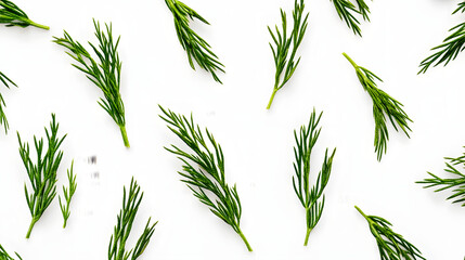 Obraz premium Fresh Dill Sprigs, Green Herb Pattern