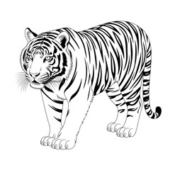 ‎A ‎ black and white tiger illustration line art of a coloring page