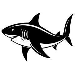 shark vector illustration