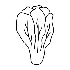 Lettuce Vegetable Coloring Page