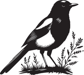 magpie silhouette vector art illustration