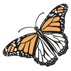 monarch butterflies set vector