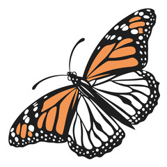 monarch butterflies set vector