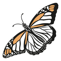 monarch butterflies set vector