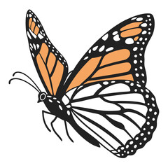 monarch butterflies set vector