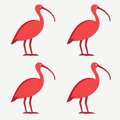 Fototapeta premium Set of red-ibis-in-minimalistic-style vector-illustration. 