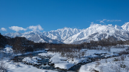 Fototapeta premium 快晴の空と雪の北アルプス 長野県白馬村