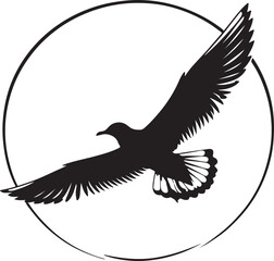 Seagull silhouette. Isolated seagull on white background. Bird