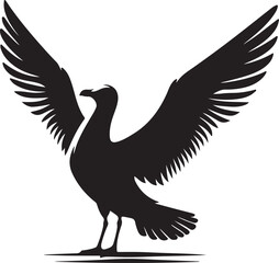 Seagull silhouette. Isolated seagull on white background. Bird