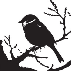 Sparrow Silhouette On A Branch On A Transparent Background