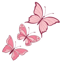 monarch butterflies set vector