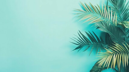 Tropical Palm Leaves Against Teal Background for Summer Vibes and Design