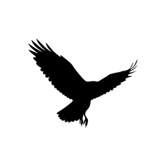 Obraz premium Hawk flying silhouette icon vector flat design.