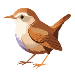 unique Bush warbler bird isolated on white background