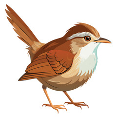 unique Bush warbler bird isolated on white background