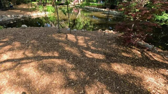 footage of pond with lush green trees and plants and colorful flowers at Descanso Gardens La Canada Flintridge California USA